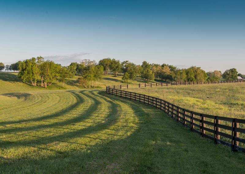 Farm Fencing Service